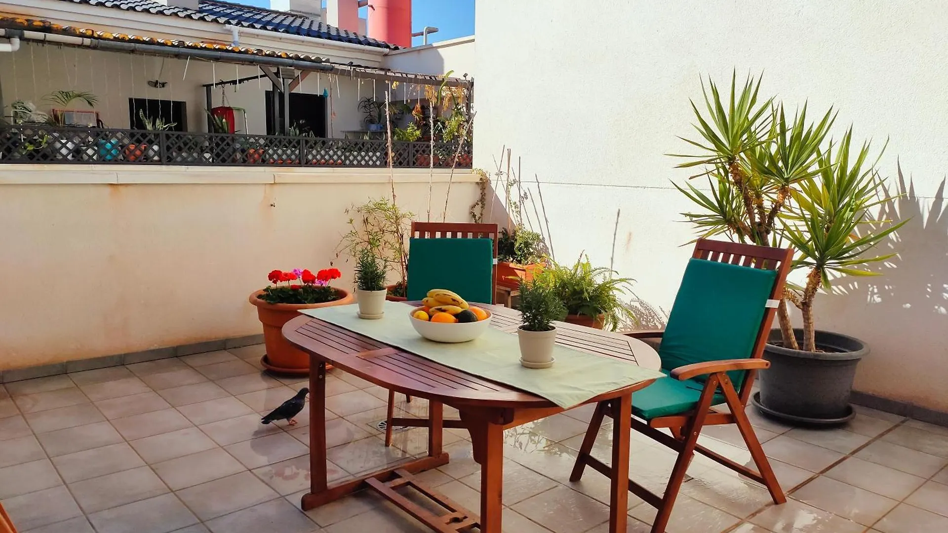 Atico - Piscina Malaga Centro Apartment Spain